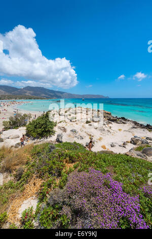 ELAFONISSI, Creta, Grecia - Luglio 24, 2014: turisti presso la famosa rosa alla spiaggia di sabbia di Elafonissi Elafonissi ( ) In Creta, Grecia Foto Stock