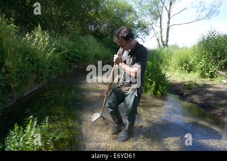 Gloucestershire Wildllife fiducia lavoratore invertibrate ricerca di campionamento nel fiume windrush vicino a Bourton sull'acqua gloucester Foto Stock