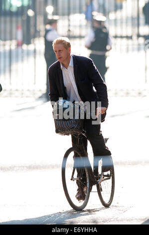 Londra, Regno Unito. 2° settembre 2014. Consigliere politico del Jo Johnson arriva per una riunione del gabinetto a 10 Downing Street, martedì 2 settembre 2014. Credito: Heloise/Alamy Live News Foto Stock