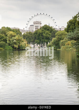 London eye visto dal Blue Bridge St James park london Foto Stock