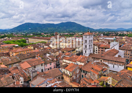 Paesaggio urbano sui tetti di Lucca, Toscana Foto Stock