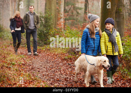 Famiglia cane a piedi attraverso il bosco invernale Foto Stock