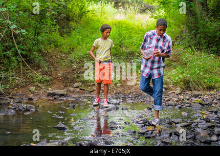 Ragazzi la cattura del pesce con i jar Foto Stock