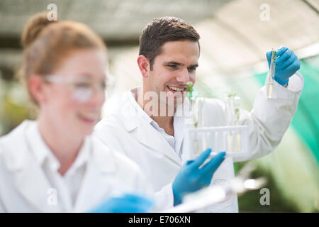 Maschio e femmina cercando gli scienziati a pianta campione nella provetta Foto Stock