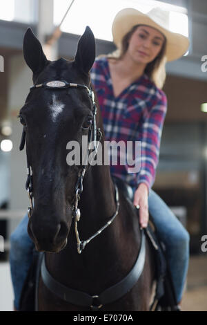 Donna giovane cavaliere pacche cavallo nel paddock per interni Foto Stock