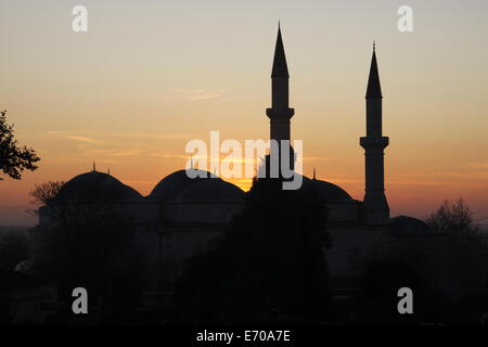 Edirne Eski moschea, Turchia Foto Stock