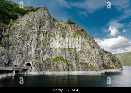 Si può facilmente raggiungere il Lago di Vidraru seguendo la Transfagarasan Rode. Vidraru Lago ha un'aria di 893 ettari ed è 155 m Foto Stock