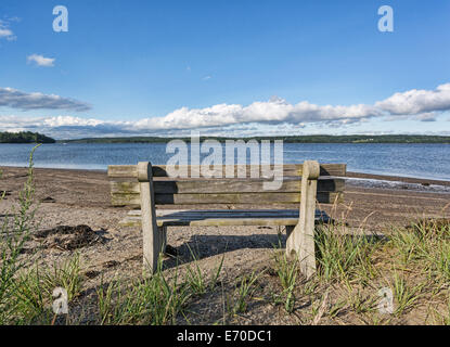 Un vecchio legno e calcestruzzo panchina rivolta verso il fiume Penobscot a Sandy Point Beach in Stockton molle Maine. Foto Stock