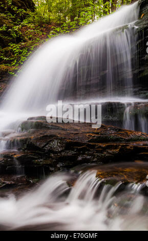 L'immagine verticale di Onondaga cade, in Glen Leigh all Ricketts Glen State Park, Pennsylvania Foto Stock