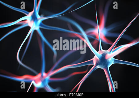 I neuroni nel cervello Foto Stock