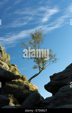 Brimham Rocks in Nidderdale, Yorkshire Dales, Inghilterra. Foto Stock