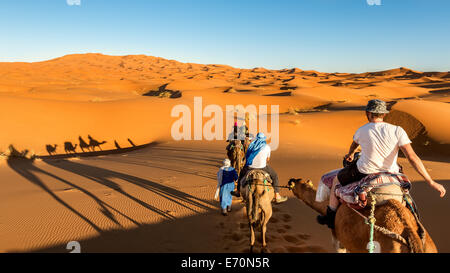 Dromedario equitazione in Erg Chebbi desert, Merzouga, Marocco, Africa Foto Stock