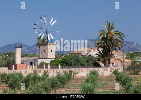 Il mulino a vento a finca, vicino a Sant Jordi, Maiorca, isole Baleari, Spagna Foto Stock