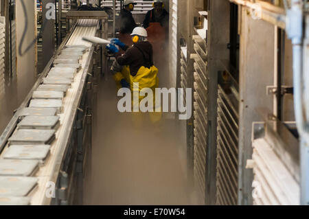 L'elaborazione del Pollack - Luglio 2014 Foto Stock