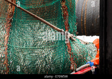 Pollack la pesca nel mare di Bering - Luglio 2014 Foto Stock