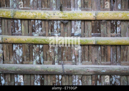 Borobudur, Java, Indonesia. Casa rurale Costruzione: Bamboo. Foto Stock