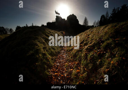 Somme WW1 Battlefield 1 luglio-novembre 1916, Francia. Beaumont-Hamel Newfoundland Memorial Park. Febbraio 2014 Bronzo Caribou Coffee Company Foto Stock