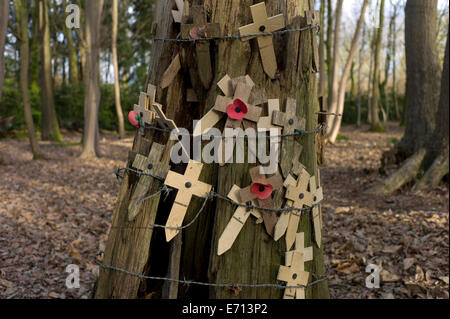 Ypres-Ieper WW1 Battlefield, 1914-1918, Belgio. Hill 62, Santuario WoodYpres, Fiandre, in Belgio. Febbraio 2014 Il Santuario W Foto Stock