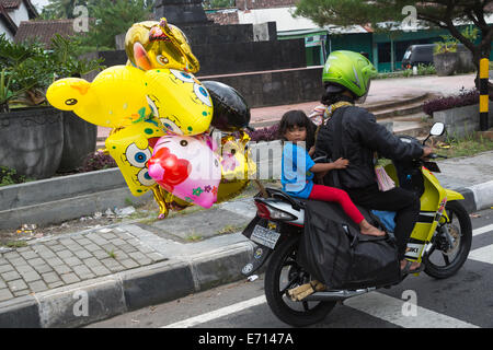 Yogyakarta, Java, Indonesia. La sicurezza stradale. Bambina andando a casa con i suoi palloncini, casco n. Foto Stock