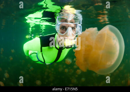 Oceania, Palau, Eik Malk, Femmina snorkeller guardando spotted meduse, mastigias papua, nel lago di acqua salata Foto Stock