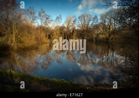 Ypres-Ieper WW1 Battlefield, 1914-1918, Belgio. Piscina Spanbroekmolen della pace, Ypres, Fiandre, in Belgio. Febbraio 2014 Crat miniera Foto Stock