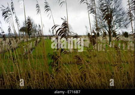 Ypres-Ieper WW1 Battlefield, 1914-1918, Belgio. Bedford House cimitero, Zillebeke Village,Ypres Ieper, Belgio. Febbraio 2014 C Foto Stock