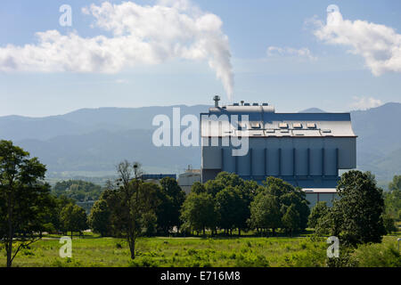 Germania, Baden-Württemberg, inceneritore TREA Breisgau Foto Stock