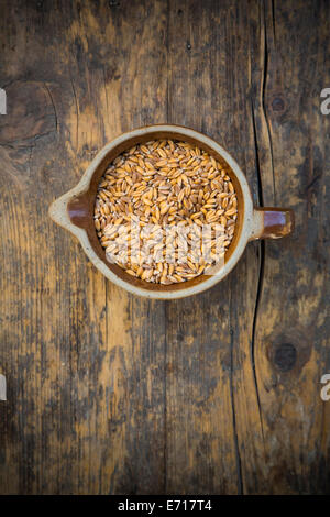 Il farro , triticum dicoccum, in una giara Foto Stock