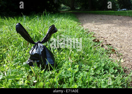 Rifiuti Dog Poo borsa nera a sinistra sul sentiero Foto Stock