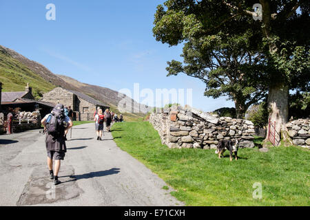 Gruppo di escursionisti a piedi attraverso una fattoria di Nant Ffrancon valley nel Parco Nazionale di Snowdonia. Bethesda, Gwynedd, Galles del Nord, Regno Unito Foto Stock