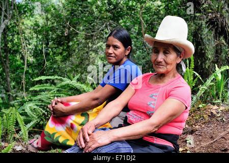 Guide per il Turista - Le cascate Gocta rotta in CHACHAPOYAS . Dipartimento di Amazonas .PERÙ Foto Stock