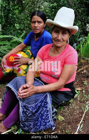 Guide per il Turista - Le cascate Gocta rotta in CHACHAPOYAS . Dipartimento di Amazonas .PERÙ Foto Stock