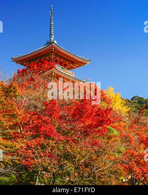 Kyoto, Giappone al tempio Kiyomizudera nella stagione autunnale. Foto Stock