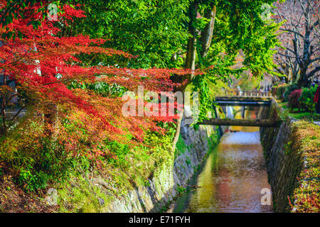 Kyoto, Giappone al filosofo il percorso in autunno. Foto Stock