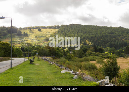 Linea di panchine in erba verga lungo il lato di una strada rurale in Galles. Collina coperta di alberi in lontananza. Foto Stock