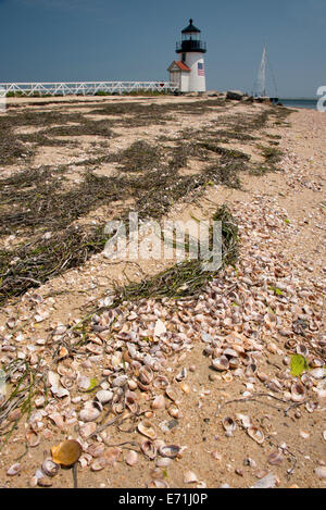 Stati Uniti d'America, Massachusetts, Nantucket. Shell spiaggia coperta di fronte Brant Point Lighthouse, il secondo più antico faro in noi. Foto Stock