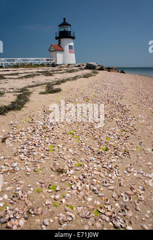 Stati Uniti d'America, Massachusetts, Nantucket. Shell spiaggia coperta di fronte Brant Point Lighthouse, il secondo più antico faro in noi. Foto Stock