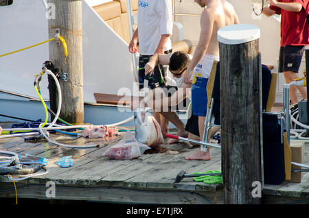 Stati Uniti d'America, Massachusetts, Martha's Vineyard. La pesca degli squali, Illex, squalo mako (Isurus oxyrinchus) testa di pulizia sul dock. Foto Stock