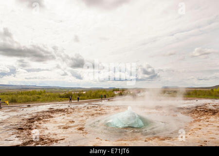 Strokkur geyser che erutta, Geysir hot springs area, Haukadalur area geotermica, a sud-ovest dell'Islanda Foto Stock