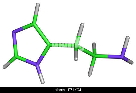 Molecola di istamina Foto Stock