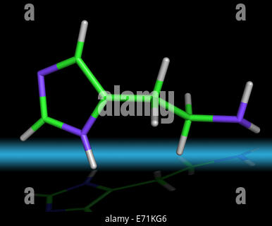 Molecola di istamina Foto Stock