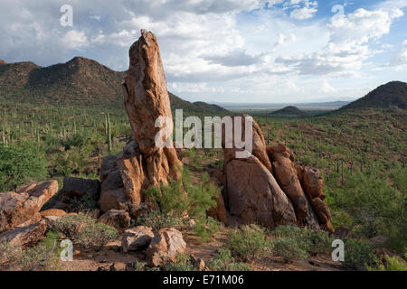 Riolite monolito, Parco nazionale del Saguaro, Arizona Foto Stock