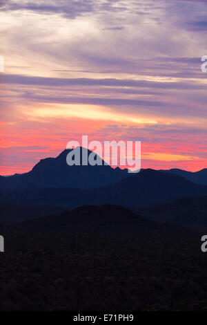 Deserto Mojave tramonto - California USA Foto Stock