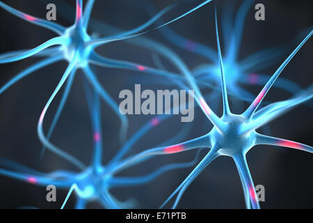 I neuroni nel cervello Foto Stock