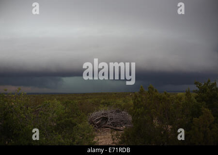 Una tempesta di cloud nei pressi di San Angelo, Texas. Foto Stock