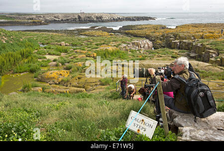 Fotografo con fotocamera e ottica grandangolare seduto sulla roccia di fotografare gli uccelli in farne Island con vista delle scogliere e oceano oltre Foto Stock