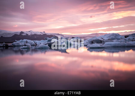 Jokulsarlon laguna glaciale, Islanda, iceberg al tramonto Foto Stock
