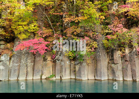Il matsukawa Valley che ha reso le foglie di autunno Foto Stock