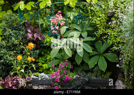 Piccola sezione di un giardino didattico costruito da volontari di auto-cresciuto o donazioni di piante. Include Foto Stock