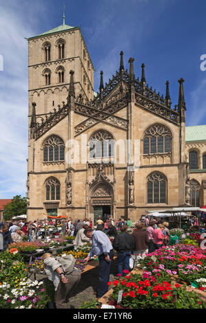 Giorno di mercato nella Domplatz square, sul retro cattedrale di Münster, San-Paulus-Dom, del secolo XIV, Münster, Münsterland Foto Stock